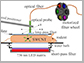 technique that uses fluorescent nanotube-based probes to locate specific tumors in the body