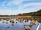 Old Woman Creek National Estuarine Research Reserve