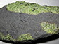 olivine xenolith