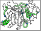 the P99 beta lactamase peptide backbone