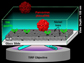 single-particle tracking binding assay