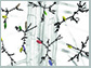 a plant's root hair cells (outlined in black) along with folded RNA transcripts