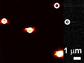 plasmonics