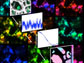 paths of fluorescent particles