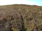 sampling site located at the Prairie Reserve