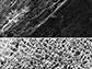 pristine pine at top and laser-induced graphene on pine at bottom