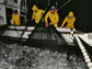 sardine fishermen haul in a net