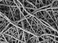 microscopic image showing silver-coated, stem cell-seeded scaffolds