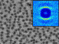 microscopic particles suspended in a viscous fluid