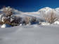 snowfall in the eastern Sierras