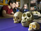 skulls of a human, a gorilla and a macaque