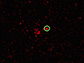 image showing X-rays detected from the supernova 2012ca