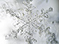 snowflake under microscope displays fractal properties