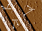 synthetic biowire making an electrical connection