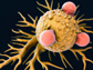 an illustration of T Lymphocytes on a Cancer Cell