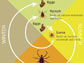 black-legged tick life cycle