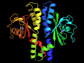H. pylori acid receptor TlpB