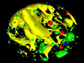 x-ray tomography of small pieces of pumice