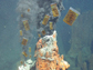 floating pill bottles around hydrothermal vents