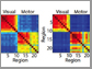 brain regions that control fingers movements