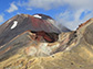 the Taupo Volcanic Zone