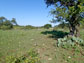 dynamic landscape near Lampasas