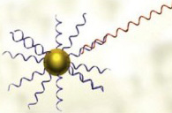 illustration of antisense DNA