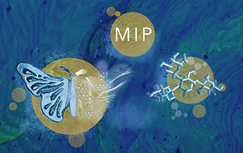 The two foreground cells represent the 'factories' in nature, from glycopolymer to complex organic material - in this case, a 3d butterfly.