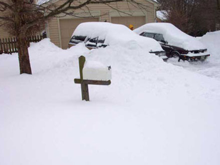 cars burried in snow