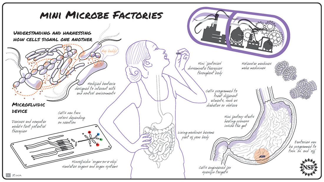 microbes and microfluidic device in body