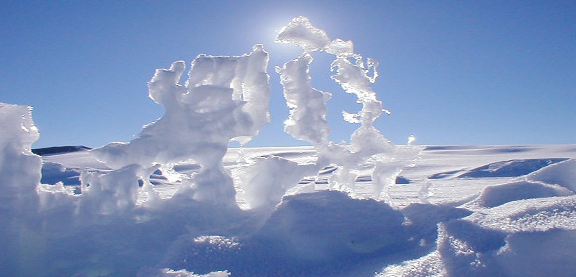 Snow Sculpture