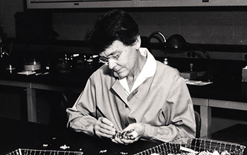 Barbara McClintock