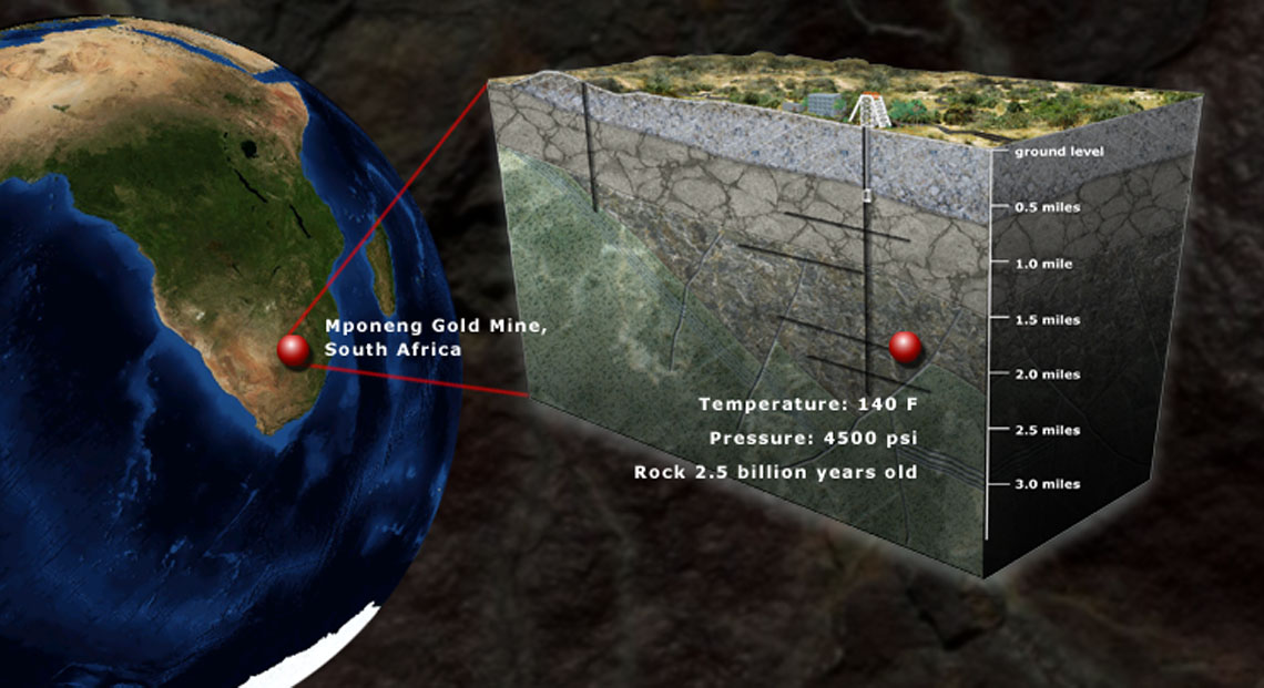 Subsurface Microbes