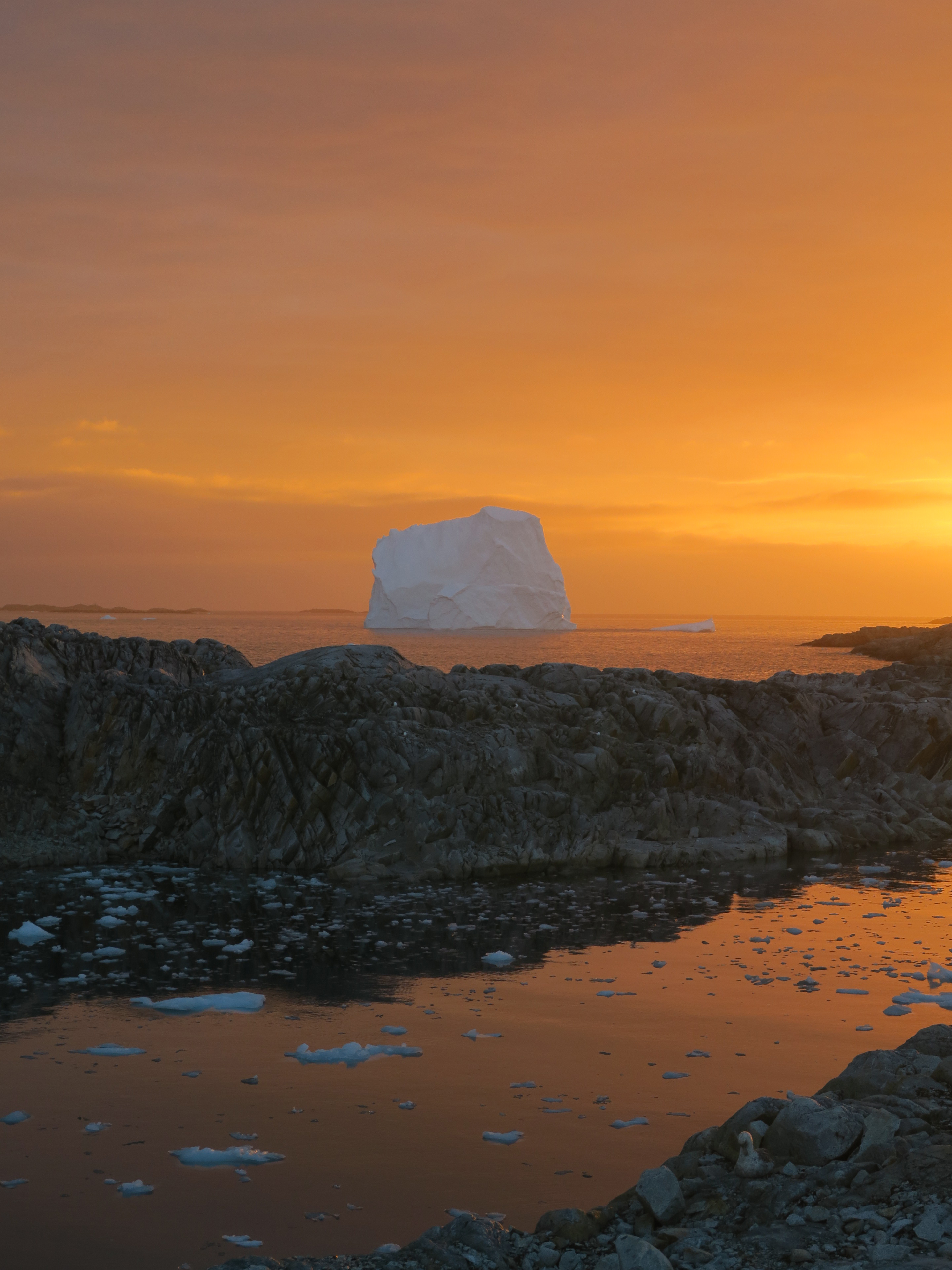 an ice berg