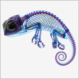 Chameleon