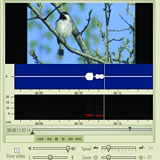 Software displaying bird image