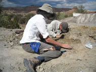 Photo of project field crew