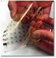 Photo of example of waterproof plastic circuitry