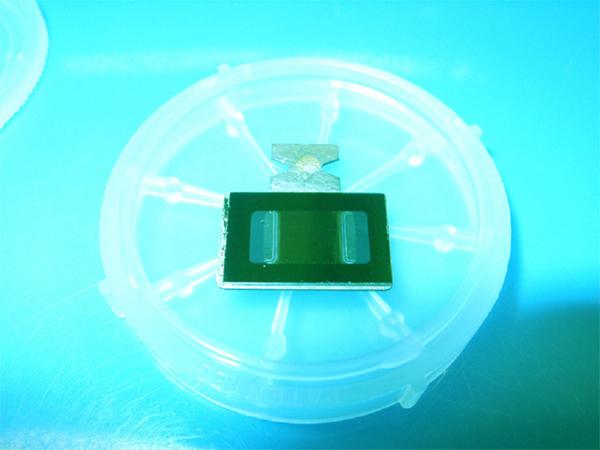 Image of the Schottky diode sensor