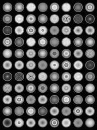 DNA Microarray Sequencing data 