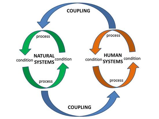 Diagram depicting components described in the previous paragraph.