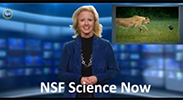 NSF Science Now